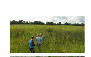 wetlands-initiative.org