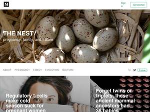 thenestpregnancy.com