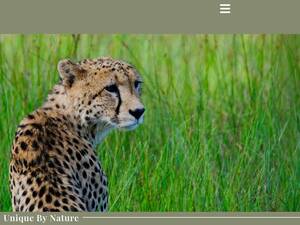 mukambi.com