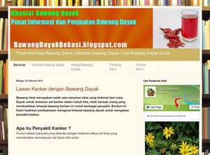 bawangdayakbekasi.blogspot.com