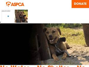 aspca.org