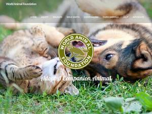 adoptashelteranimal.com