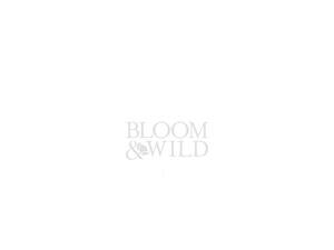 bloomandwild.com
