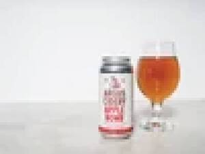 Arguscidery.com