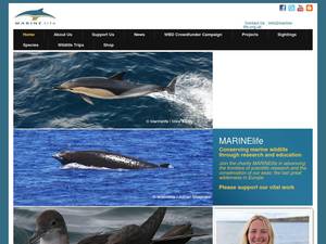 biscay-dolphin.org.uk
