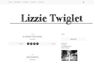lizzietwigletx.blogspot.com