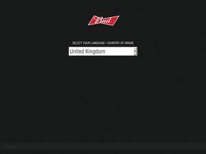 bud.ru