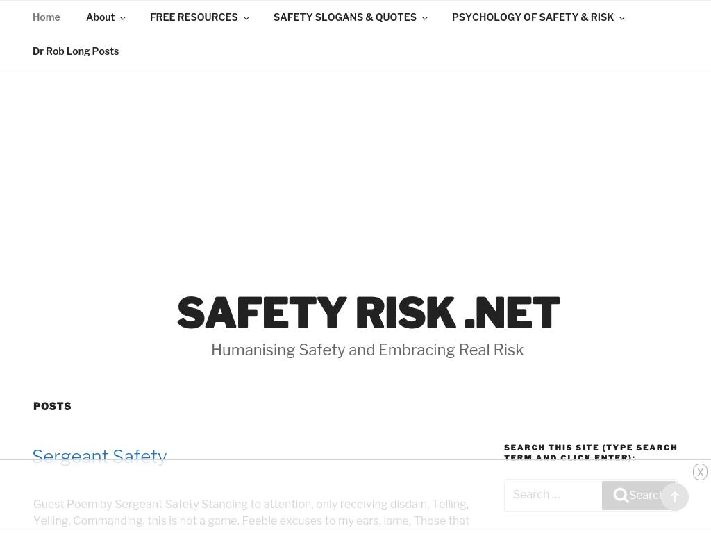 safetyrisk.net