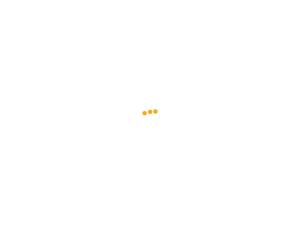 Webseekers.in