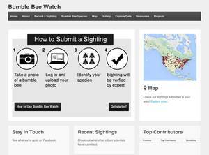 bumblebeewatch.org