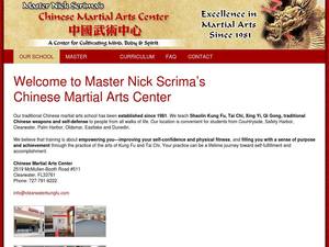 clearwaterkungfu.com