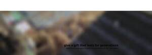 Lexhabitat.org