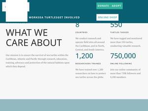 conserveturtles.org