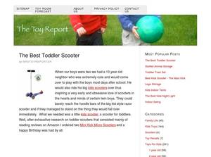 toyreport.org