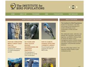 birdpop.org