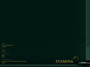 Stamina.pl