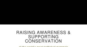savepangolins.org
