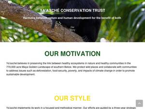 Yaaxche.org