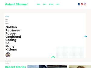 animalchannel.co