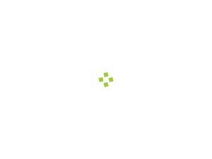 Netologyllc.com