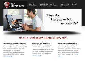 wpsecurity.com