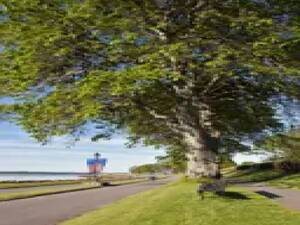 studyincanada.ca