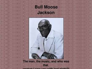Bullmoosejackson.com