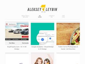 alekseyleybin.com