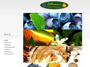Dittmeyer.com