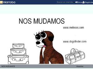 Molosos.mforos.com