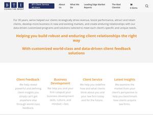 bticonsulting.com