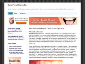 banishtonsilstonestips.blogspot.com