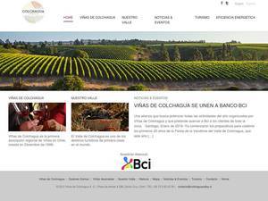 colchaguavalley.cl