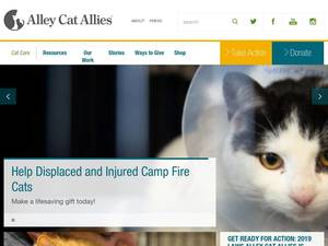 alleycat.org