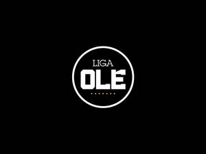 ligaole.com.br
