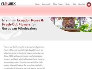Flowex.nl