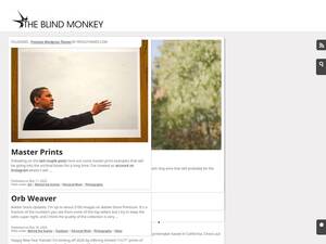 Theblindmonkey.com