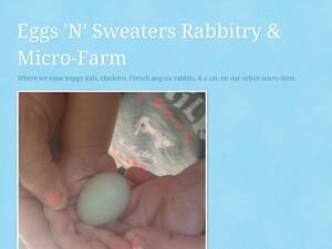 Eggsnsweaters.blogspot.com