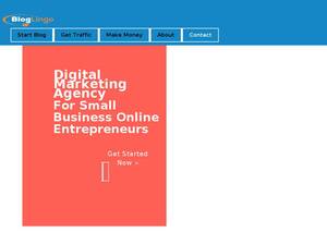 bloggingincomelifestyle.com