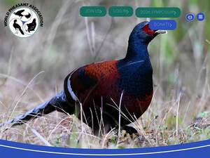 Pheasant.org.uk