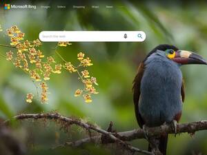 bing.com