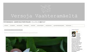 versojavaahteramaelta.blogspot.fi