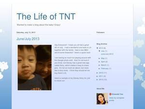 Thelifeoftnt.blogspot.com