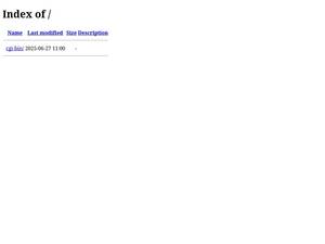 theinsightadvantage.com