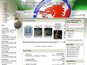 detectingwales.com
