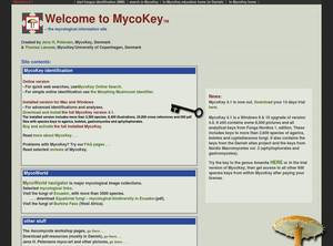 mycokey.com