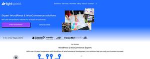 lsdev.biz
