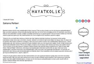 hayatkolik.blogspot.com