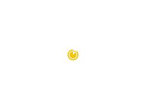 telerickshaw.com