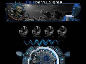 blueberrysights.com